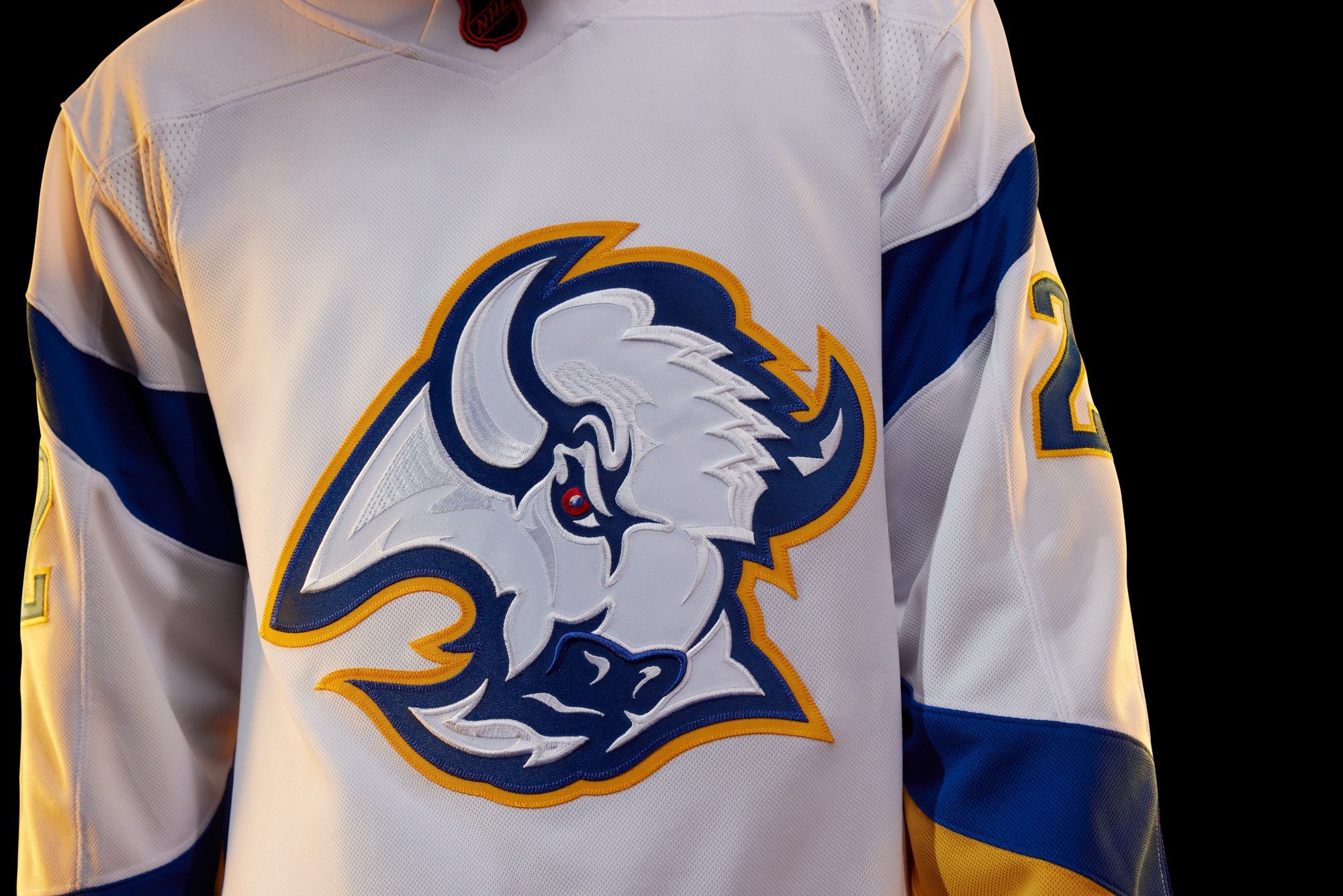 Grading the 2022 NHL Reverse Retro Jerseys